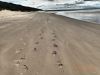 Footprints :-)