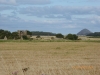 Saltcoats Castle ruins (with North Berwick Law in the background)