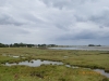 End of the walk (with clouds looking a bit more ominous!)