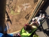 Meeting the meercats