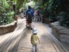 Checking out the monkeys