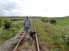 Crossing the train line