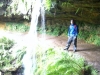 Waterfall in the glen