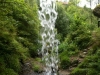 Waterfall in the glen