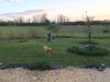 Playing in the garden!
