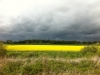 Aberdeenshire countryside (and weather!)