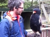 Glenn with a Bateleur Eagle at World of Wings