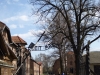 Visiting Auschwitz