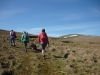 Great Dodd Walk