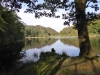 Lovely reflections