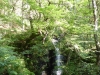 Tom Gill Waterfall