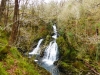Colwith Force