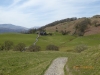 Path heading back to Ambleside