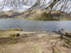 Grasmere Lake