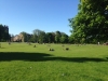 Chilling in the Meadows