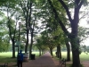 Last walk home through the Meadows