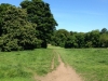 Blackford Hill walk
