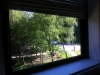 View from my office window