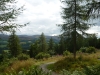 Glentress