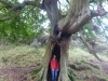 Me in a tree