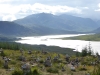 Drive from Skye to Appin