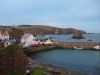 St Abbs harbour