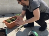 Glenn planting his herb garden!