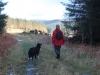 Walk nr Eary Cushlin 28th Dec