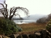 Grasmere Lake