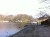 Grasmere Lake