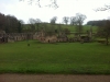 Fountains Abbey