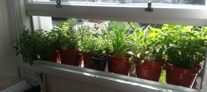 Baking, Cooking and Eating!