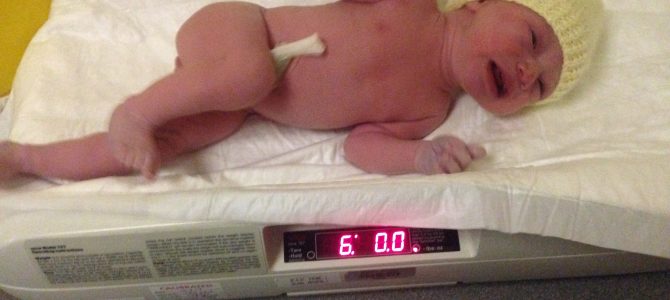 A Bear is born…